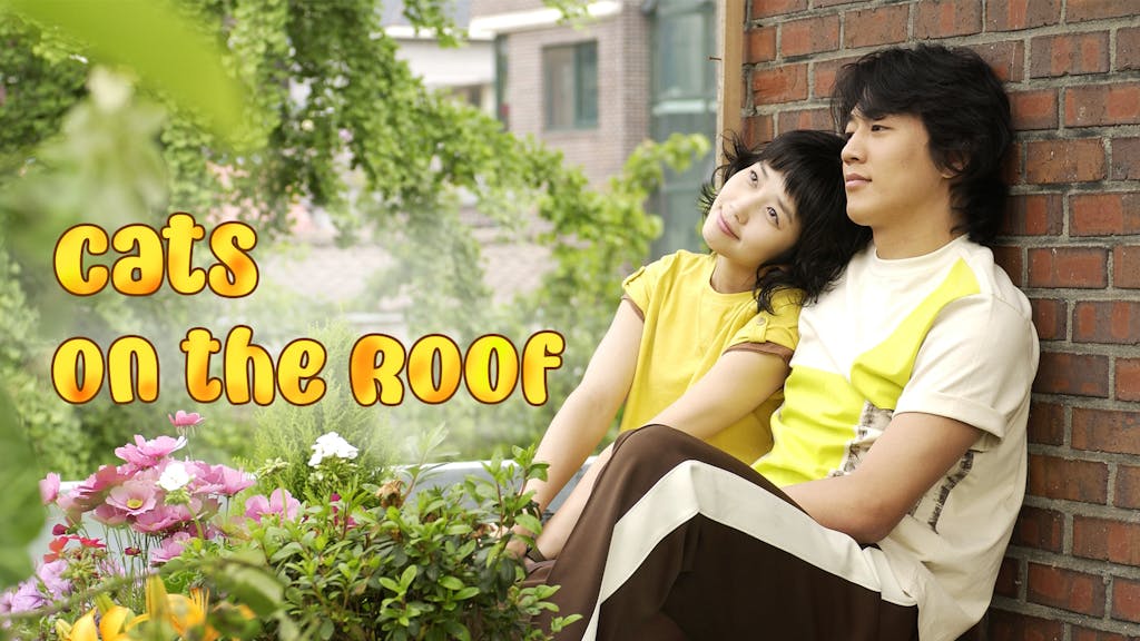 cats on the roof kocowa+ | KOCOWA+: Korean Entertainment, K-Drama & K-Variety News cats on the roof kocowa+